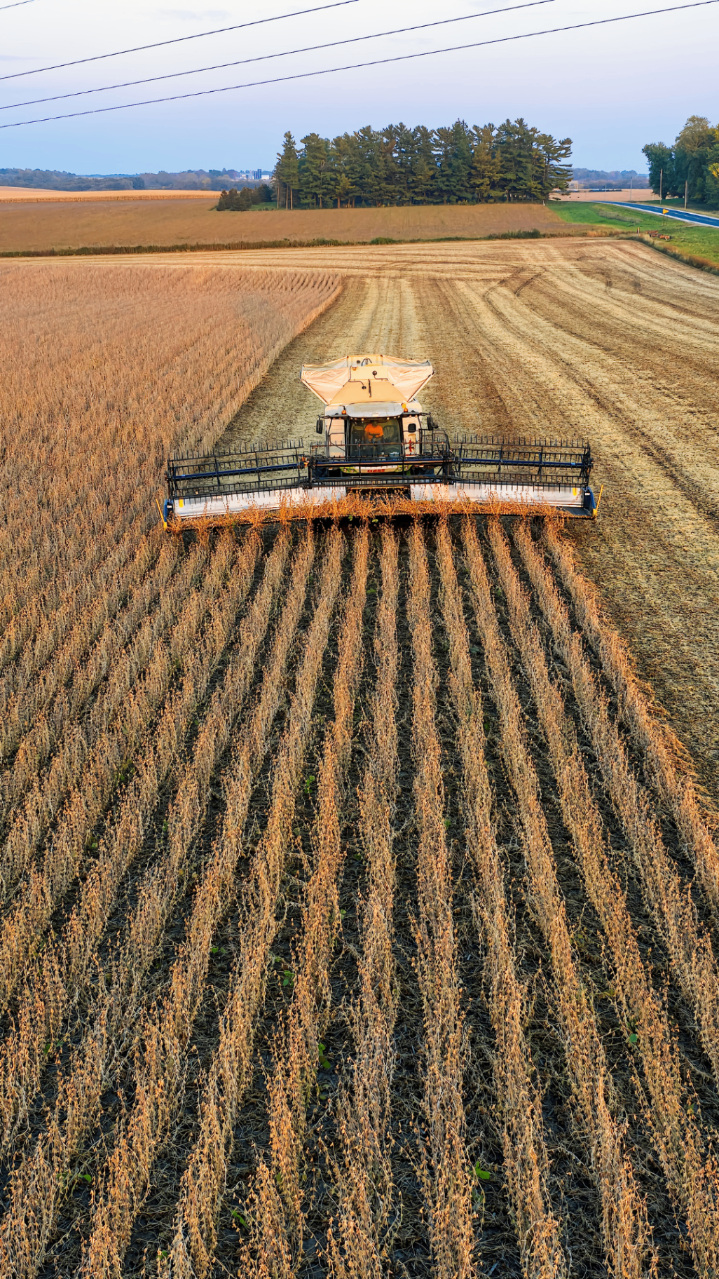 Want to protect soybean yield? Discover how each planting day after April slashes your potential harvest.